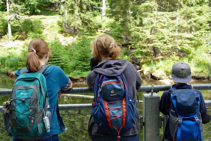 Trotz Ausschau halten vom Biber keine Spur