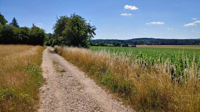 Später Morgenlauf vor der ganz großen Hitze