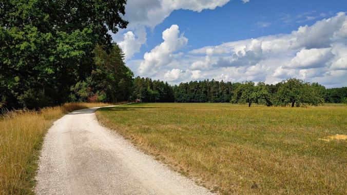 Warmer Mittagslauf schon wieder