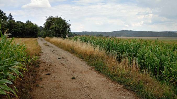 Der erste Regenlauf seit einer halben Ewigkeit