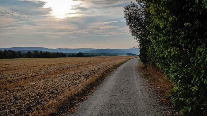 Auf dem Foto sieht man einen Feldweg mit Bäumen an der rechten Seite und die aufgehende Sonne