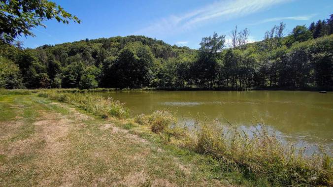Teich im Wald mit Hügel im Hintergrund und vertrockneter Wiese im Vordergrund