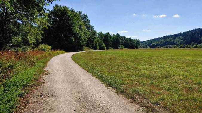 Feldweg mit Bäumen auf der linken und Wiese auf der rechten Seite