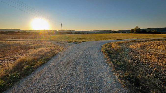 Sonnenaufgang über Feldern mit Feldweg im Vordergrund