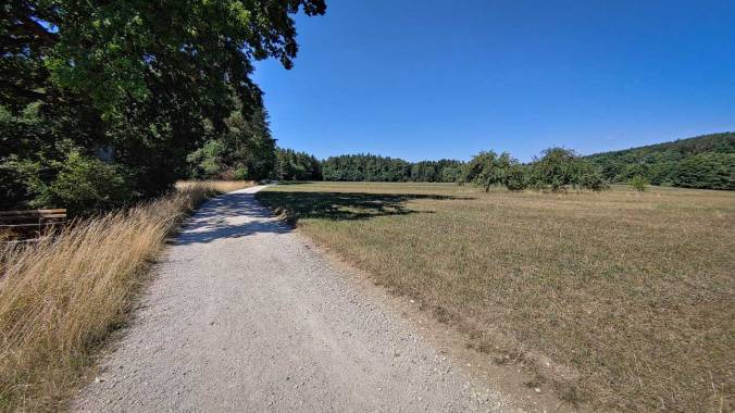 Feldweg mit Bäumen auf der linken Seite