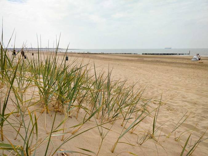 Die Dünenlandschaft hat sich direkt an den weitläufigen Strand angeschlossen