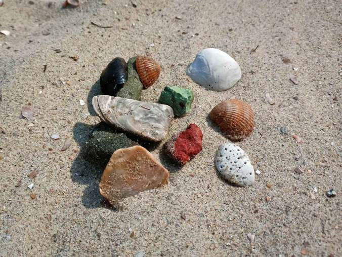 Ein kleiner Teil unserer Stein- und Muschelsammlung