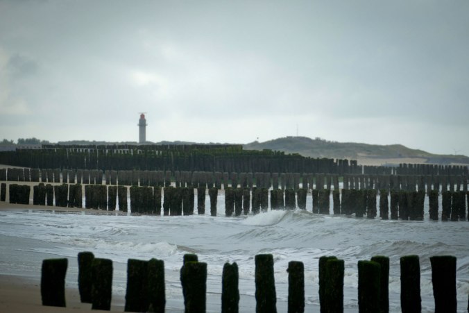 Der Aussichtspunkt von unserem letzten Spaziergang war kaum zu erkennen