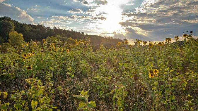Nötiger Feierabendlauf