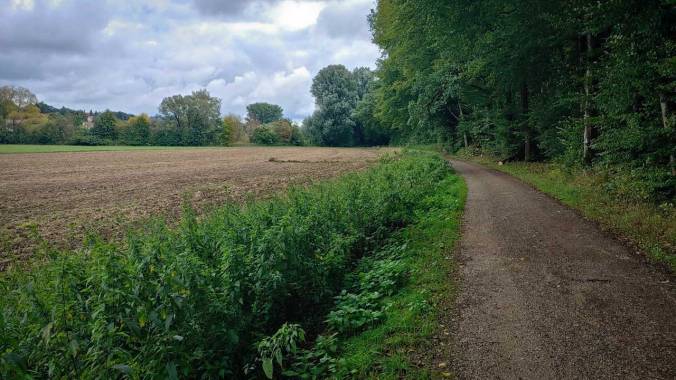 100 km im September geknackt und Laufwoche mit 65 km beendet