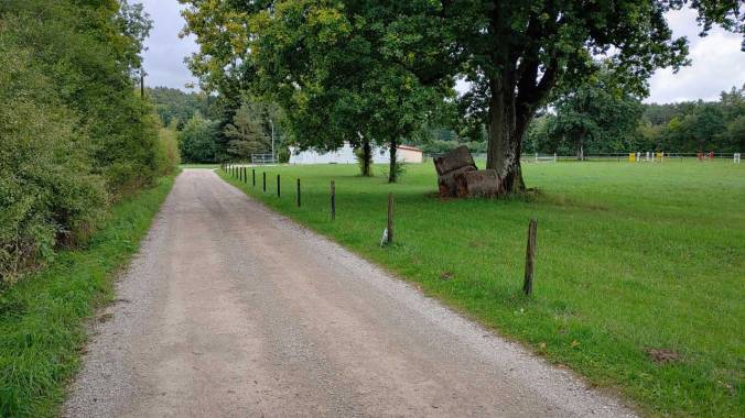 Kurzer Mittagslauf zum Wochenstart