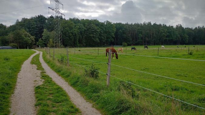 Später Morgenlauf nach dem 22-jährigen Abi-Treffen