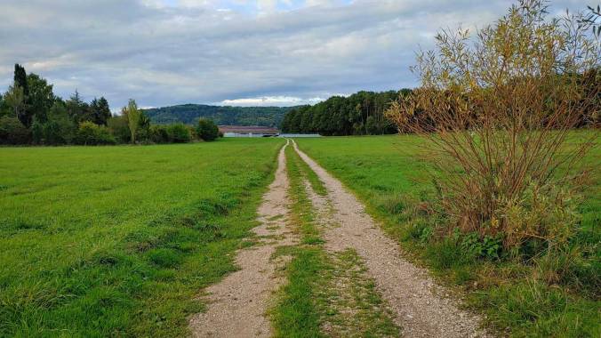 Kurzer Feierabendlauf