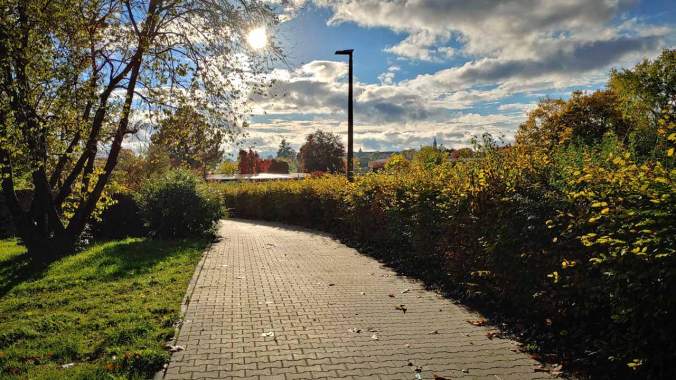 Aufgrund einer leichten Erkältung heute konsequent nach Puls gelaufen