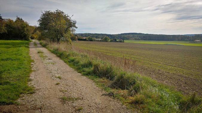 Mühsamer Mittagslauf