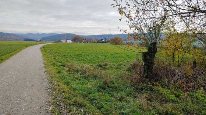 Ein weiterer Laufversuch