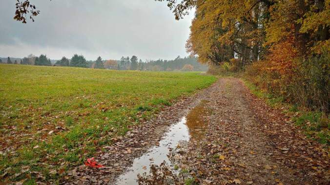 Die Tochter zum Reiten gefahren und die Wartezeit für einen Lauf genutzt