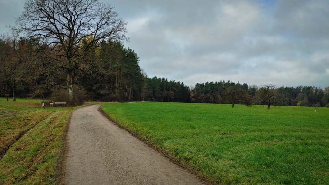 Kurzer Lauf nach noch kürzerer Nacht