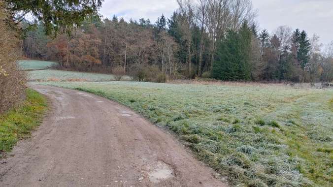 Frostiger Mittagslauf