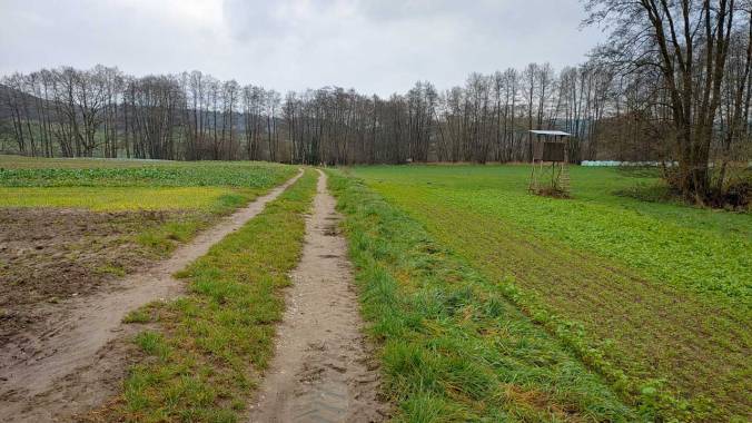 Heute konsequent nach HF-Zonen gelaufen