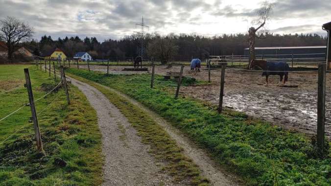 Sonniger Lauf an diesem regnerischen Tag 