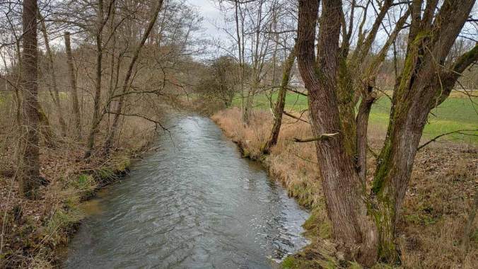 Der obligatorische Neujahrslauf