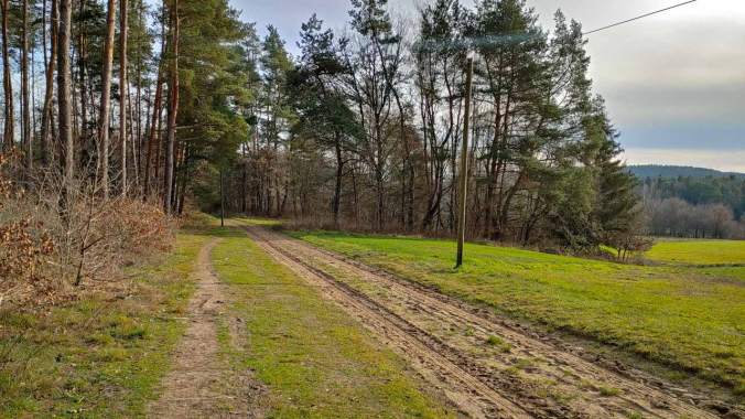 Schön sonniger Mittagslauf