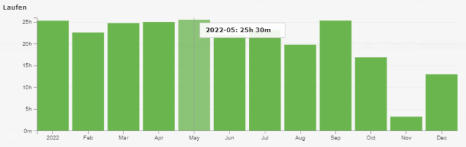246 Stunden und 9 Minuten auf den Beinen (Quelle: RUNALYZE)
