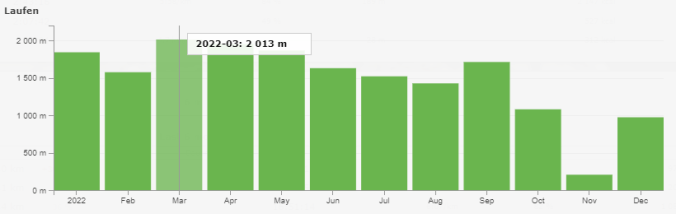 17.802 Meter ging es 2022 in die Höhe (Quelle: RUNALYZE)