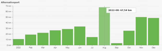 Mit 67 km war der August mein stärkster Monat 2022 (Quelle: RUNALYZE)