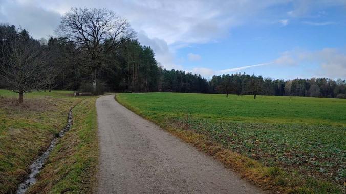 Entspannter Mittagslauf