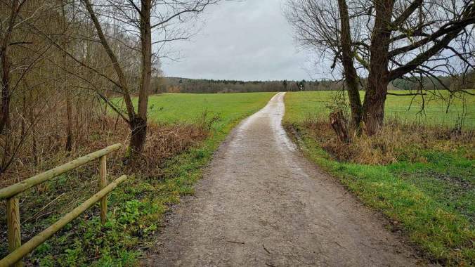 Ein weiterer Regenlauf