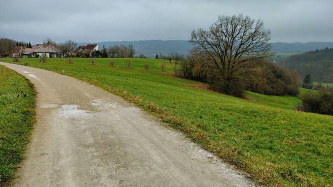 Immer noch Rücken. Immer noch langsam.