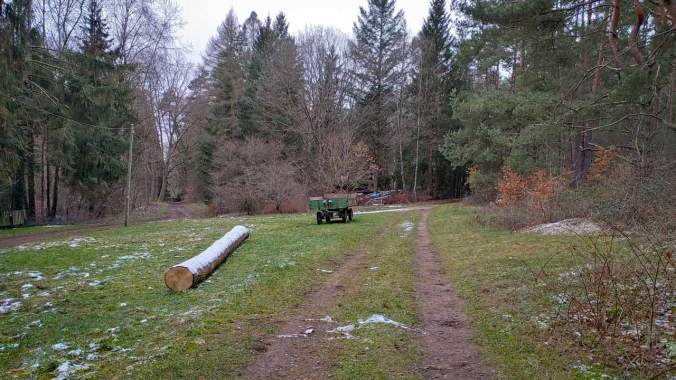 Das mit dem spontanen Halbmarathon klappt noch