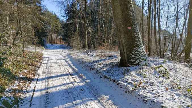 Kalt und rutschig war es heute, aber auch schön sonnig