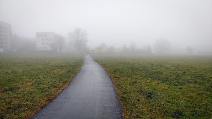 Schon seit halb sechs auf den Beinen, da kann man auch gleich laufe