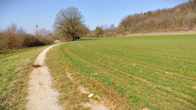 Sonniger Lauf in der Mittagspause
