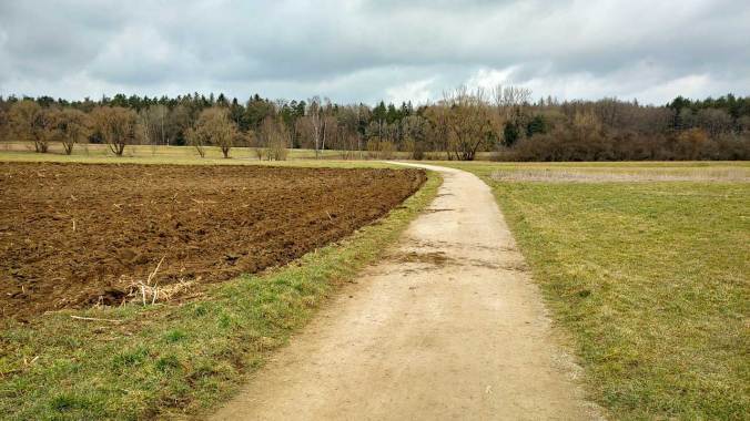 Die Laufwoche endet mit 43 km
