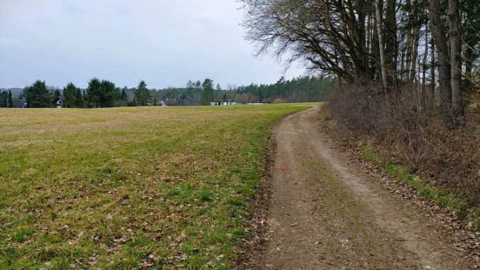 Dank flexibler Arbeitswelt die Tochter zum Reiten gefahren und die Wartezeit zum Laufen genutzt