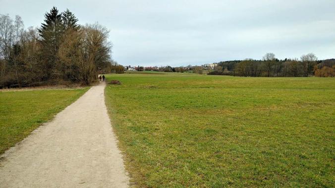 Immerhin 46 km sind es diese Woche geworden