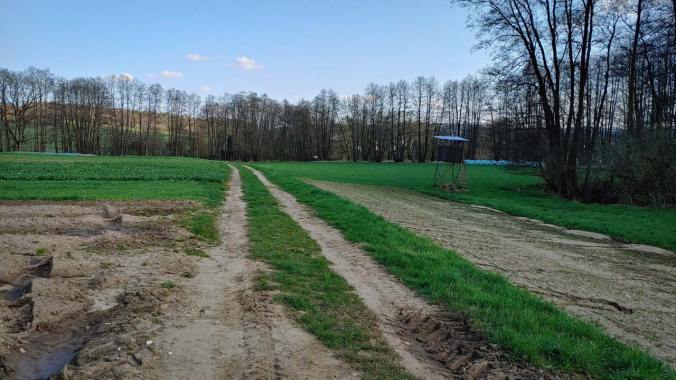 Erstaunlich schneller Feierabendlauf