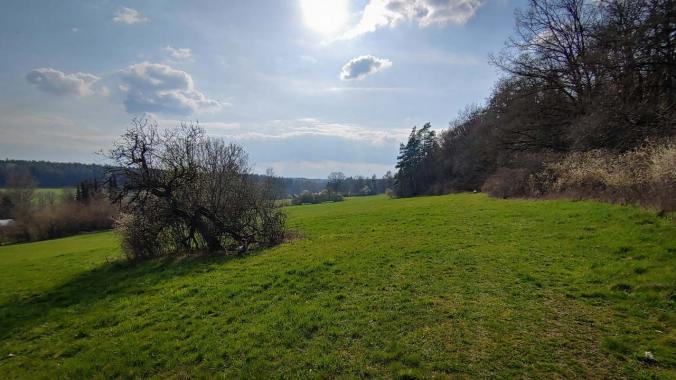 Langsamer Lauf nach viel zu umfangreichem Brunch