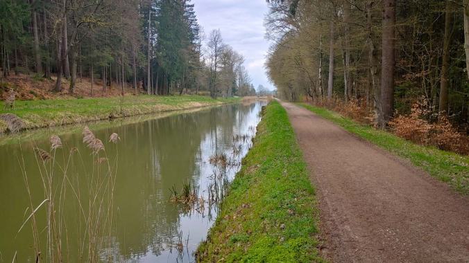 Genervt vom komplett verregneten Halbmarathon