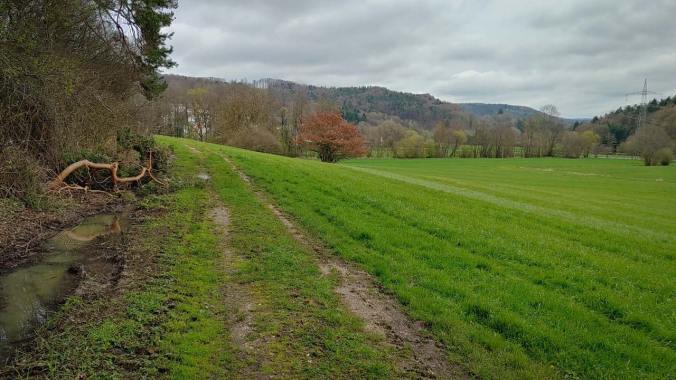 Trail-Erkundungslauf mit Schlammschlacht und Sackgassen