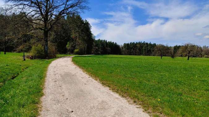 Erster Lauf in Shorts und Shirt dieses Jahr