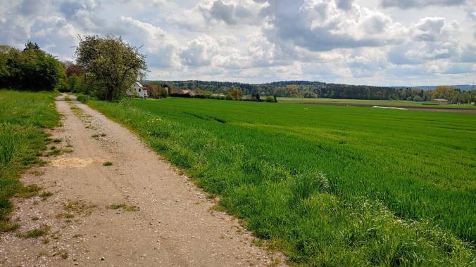 Samstagslauf zu 61 km diese Woche