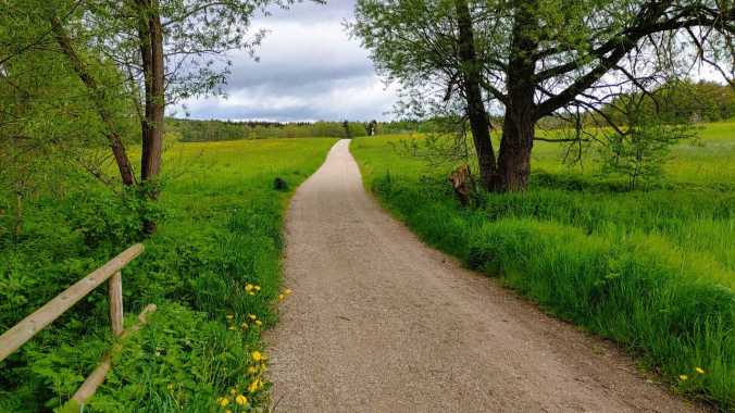 Heute wieder Regenwetter