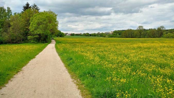 Doch noch die 60 km vollgemacht