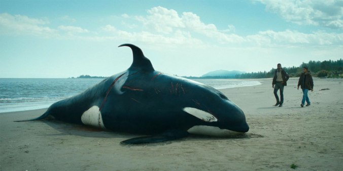 Der Schwarm | © ZDF