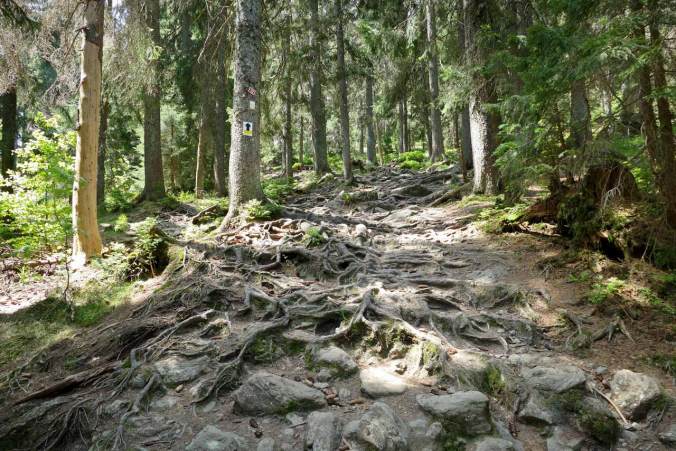 Anstrengender zu laufen, aber hat auch mehr Spaß gemacht